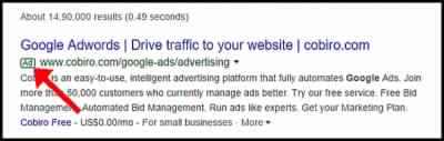 Paid Search Results Example Using Google Adwords