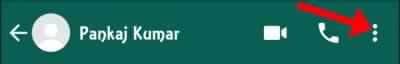 Whatsapp Contact Option 3 Dots