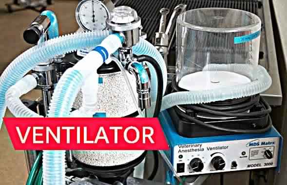 ventilator machine meaning in hindi