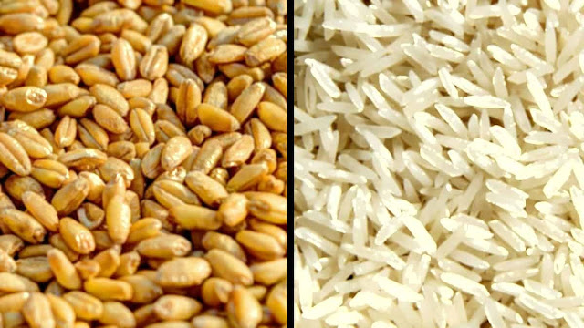 Ration Wheat and Rice