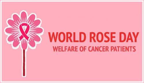 World rose day for cancer patients 22 September