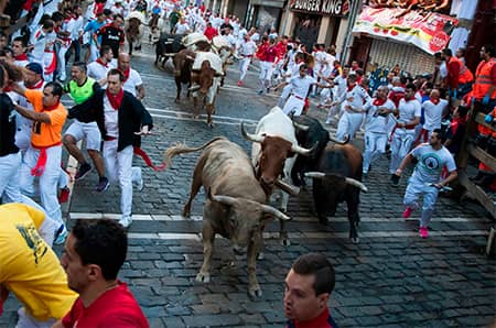 zindagi naa milegi dubara bull run