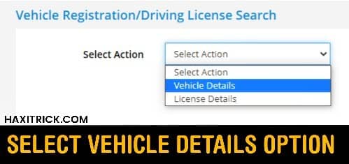 Select Vehicle Details Option