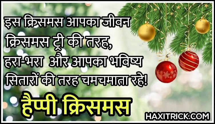 हैप्पी क्रिसमस शायरी पिक्चर स्टेटस