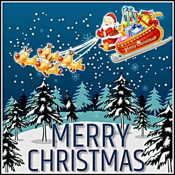 Merry Christmas 2024 Wish Image