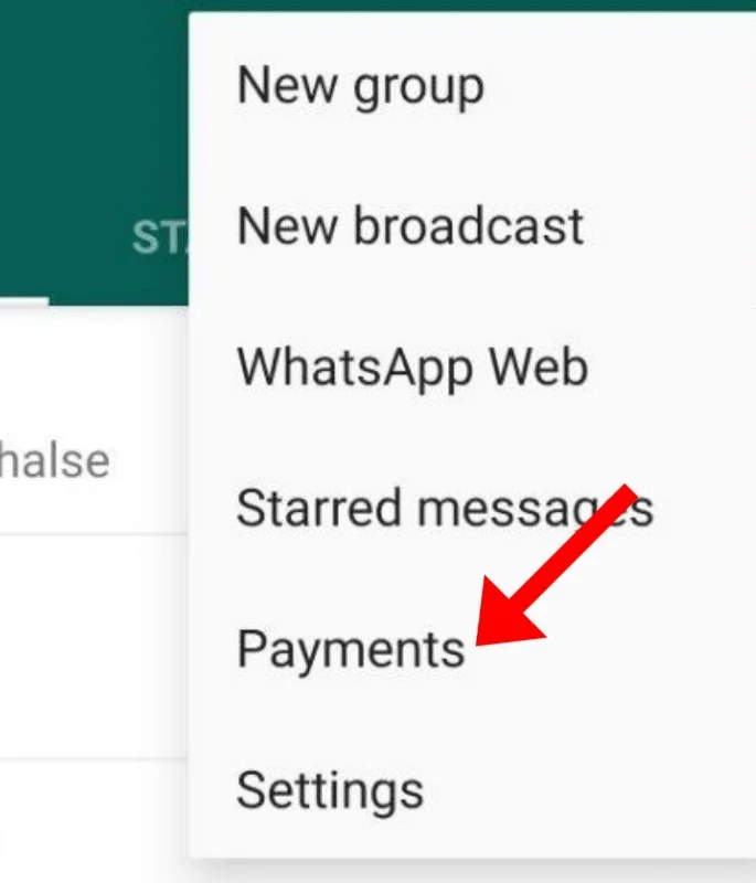 whatsapp payments