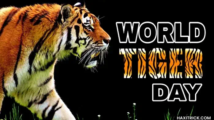 World Tiger Day 2023