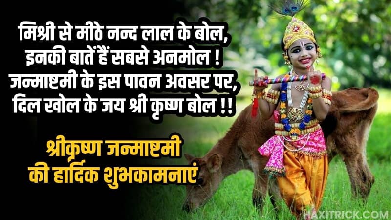 Shubh Janmashtami HD Wallpaper Poster JPG