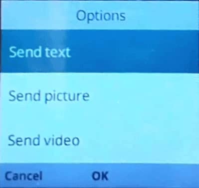 Send Text Picture or Video to Whatsapp Status