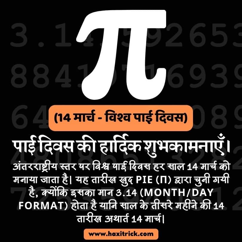 World Pie day Poster Hindi