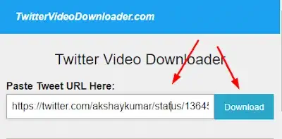 Twitter Video Downloader Paste URL