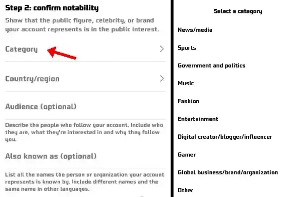 Confirm Notability & Select Category