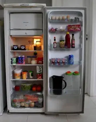 Don't Open Refrigerator Regularly